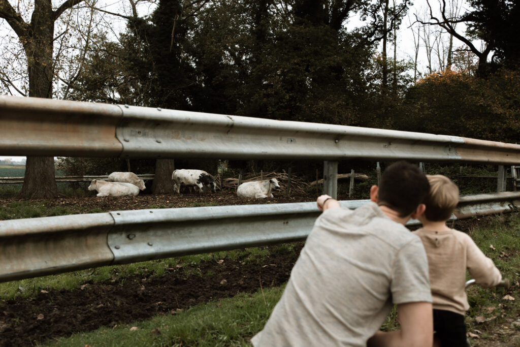 alledaags geluk gezinsshoot eindhoven valkenswaard fotoshoot bergeijk eersel zwangerschapsshoot