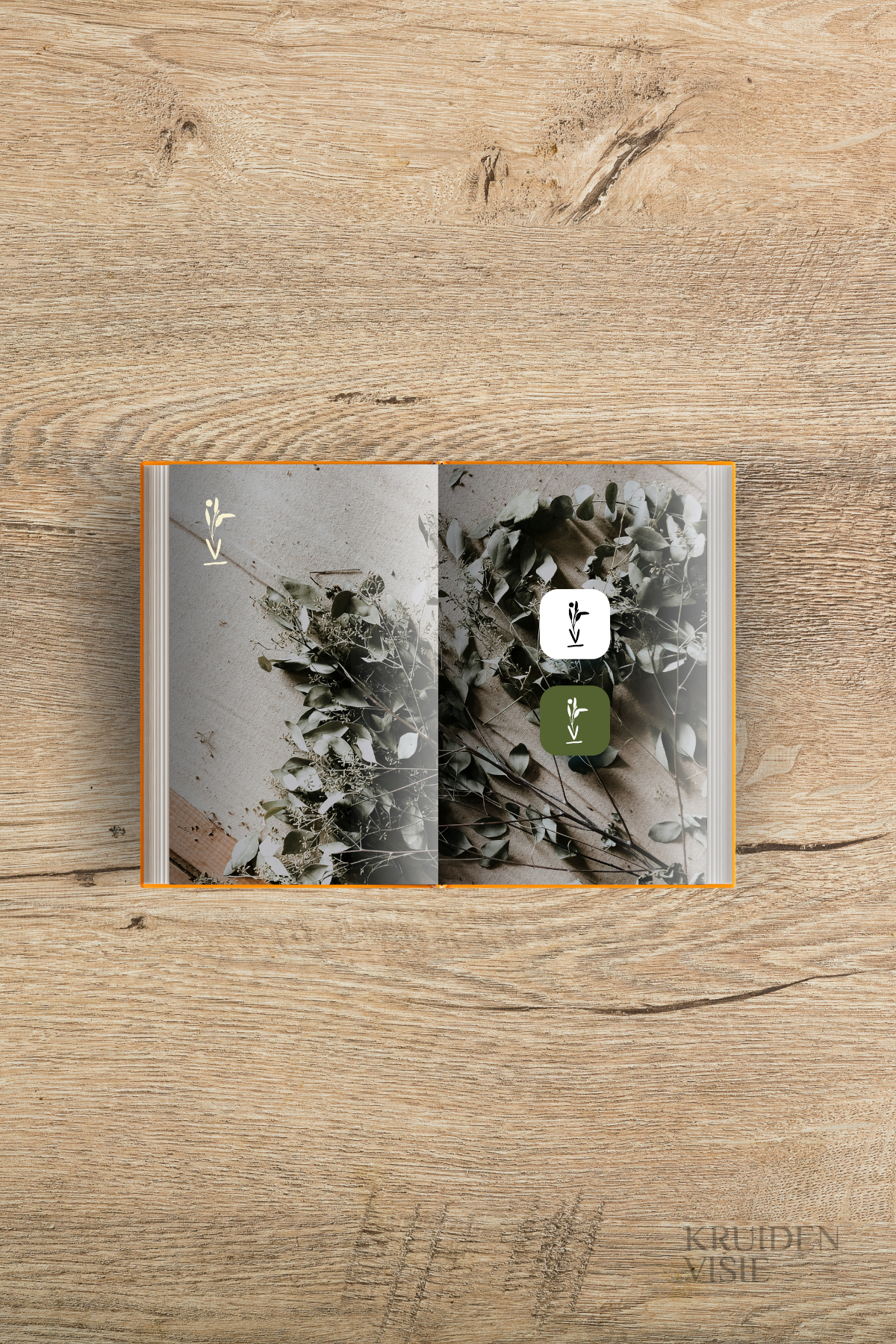 groeifase als creatief ondernemer